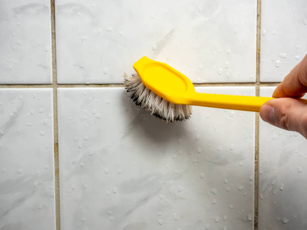 Best Toxic Mold Removal  in Lander, WY