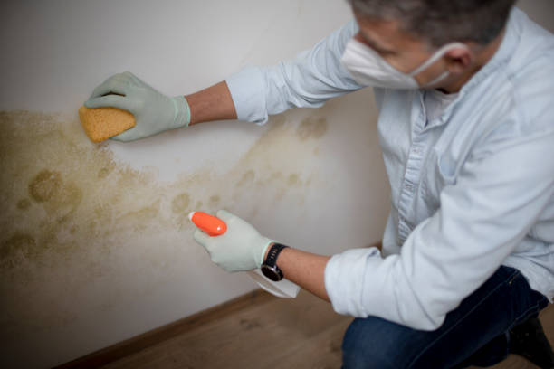 Best Emergency Mold Removal  in Lander, WY