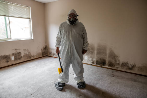 Best Residential Mold Removal  in Lander, WY